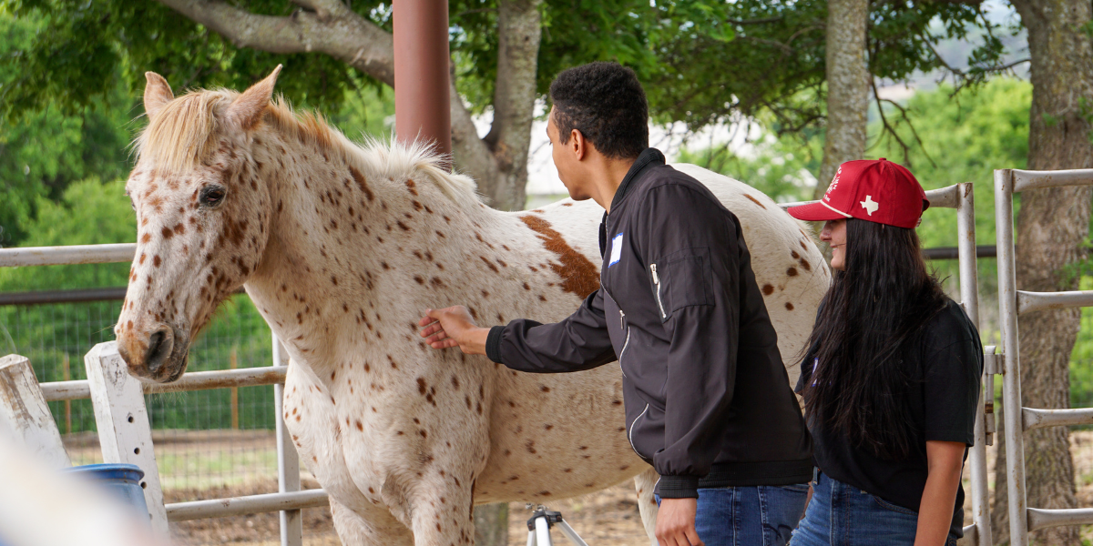 students petting horse